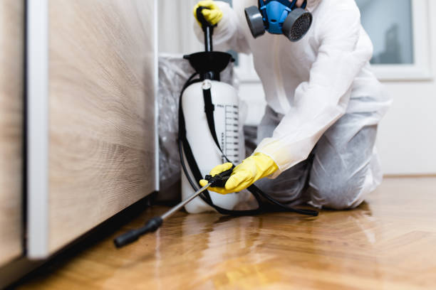 Best Local Pest Control Services  in Tierra Verde, FL