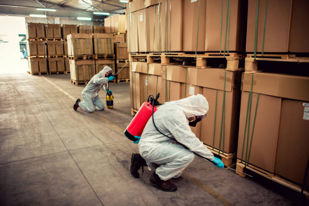 Best Cockroach Control Services  in Tierra Verde, FL