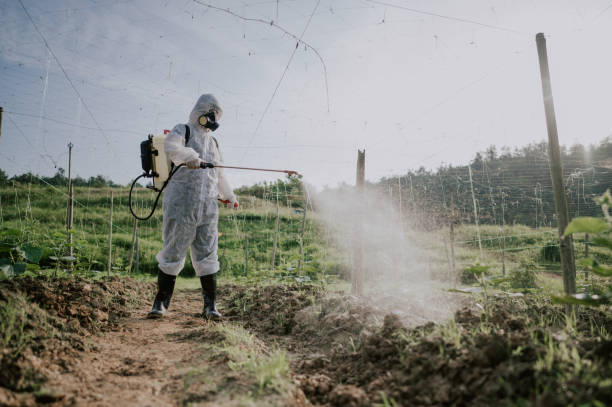 Best Pest Prevention Services  in Tierra Verde, FL