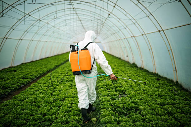 Best Residential Pest Control  in Tierra Verde, FL