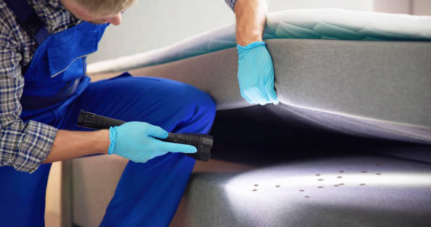 Best Pest Inspection Near Me  in Tierra Verde, FL