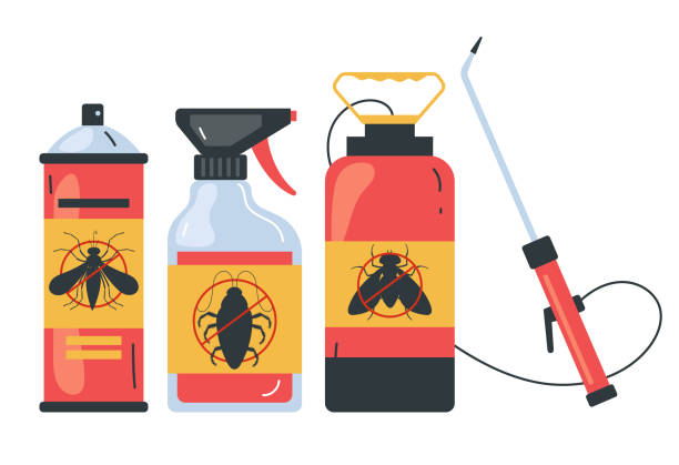 Reliable Tierra Verde, FL Pest Control Solutions