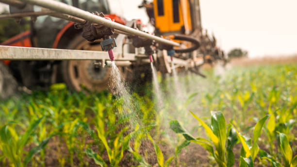 Best Wildlife Control Services  in Tierra Verde, FL